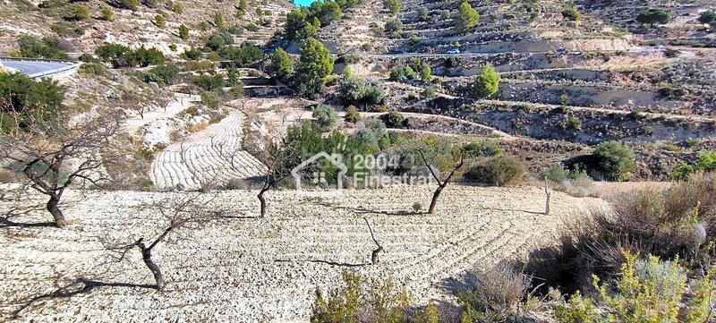 Foto c21bfd35-dfd0-4d5b-b367-fb77c3978b12. Finca rústica terreno rustico de 11.800 m2. en Relleu