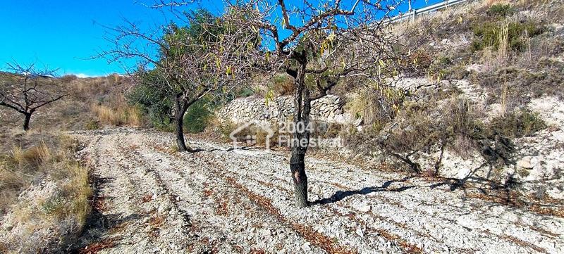 Foto d7b4f19b-a8ab-460e-b933-c32adbad9c4e. Finca rústica terreno rustico de 11.800 m2. en Relleu