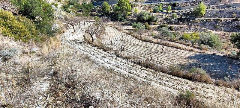 Foto d96b3b7b-1947-4796-a622-458fc2cb2c37. Finca rústica terreno rustico de 11.800 m2. en Relleu