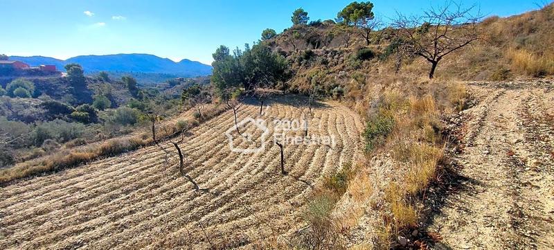 Foto fbec1b3a-49d8-43ca-acb4-a44e72492587. Finca rústica terreno rustico de 11.800 m2. en Relleu