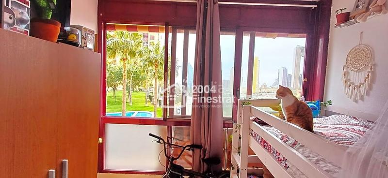 Foto d8cda425-9bb4-453e-9f9e-3be5858cc79d. Piso estupendo piso en Via Parque, . en Via Parque Benidorm