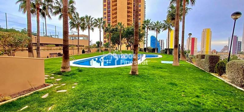 Foto f639c6b7-c73d-4992-b8f4-ecaedb653ae7. Piso estupendo piso en Via Parque, . en Via Parque Benidorm