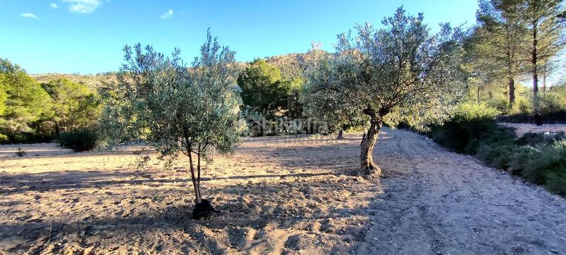 Foto 332db35d-73bf-41bd-9b9e-01300e8aaaef. Terrain résidentiel dans Relleu