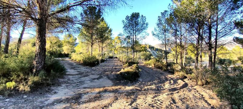 Foto 3b515558-353e-4192-a4ca-a46d1d6f2935. Terrain résidentiel dans Relleu