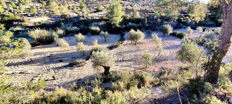 Foto 3d7cb910-492a-4e49-8ec5-77e92af81758. Terrain résidentiel dans Relleu