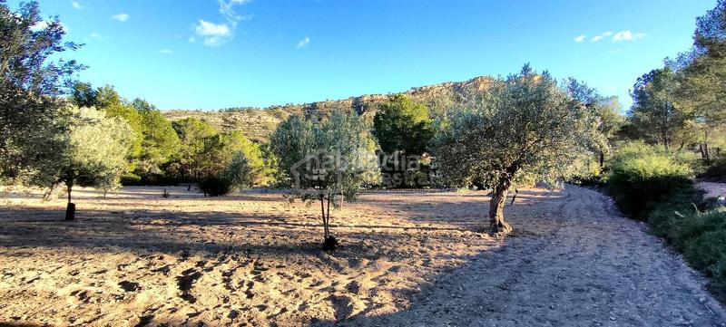 Foto 42a6abc2-bb0a-4cc7-9a30-4ebf01a29935. Terrain résidentiel dans Relleu