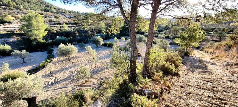 Foto 4b6b003d-3b9b-4e5a-a561-2d7922440523. Terrain résidentiel dans Relleu