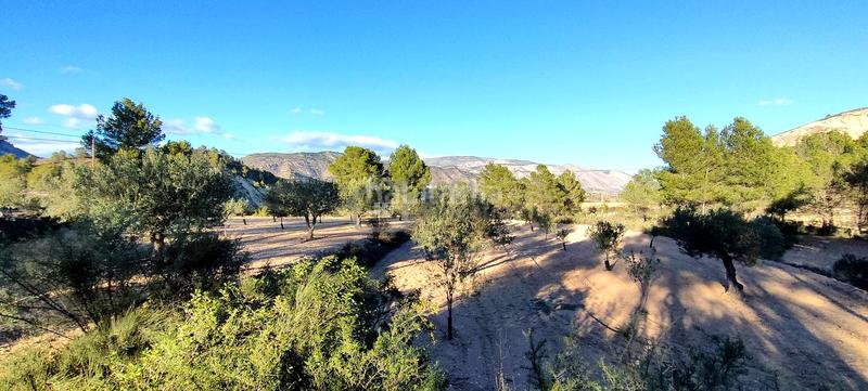 Foto 4d1914eb-83e6-4d2e-8f2b-792ef2f38ab6. Terrain résidentiel dans Relleu