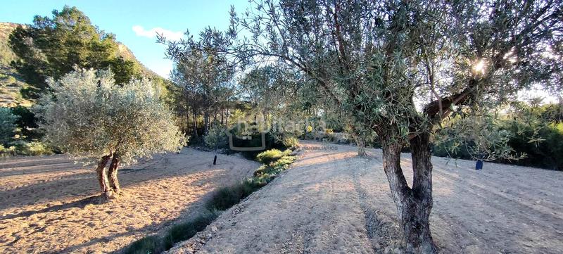 Foto 696328f2-20b2-4b3f-93a2-b64f5b24f4f0. Terrain résidentiel dans Relleu