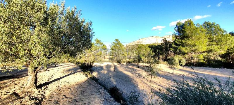 Foto 7bd1bec2-2fad-45f9-acd5-6c08764897f9. Terrain résidentiel dans Relleu