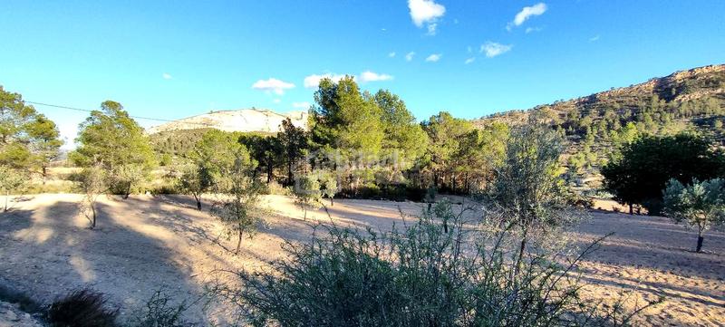 Foto 80a4036c-85c2-4b4b-87f3-0adbbd8bdc06. Terrain résidentiel dans Relleu