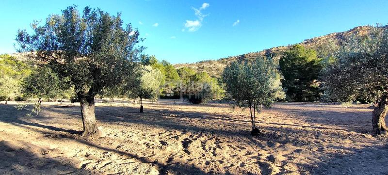 Foto 816bfd04-2b5d-4d88-871d-d7609212f579. Terrain résidentiel dans Relleu