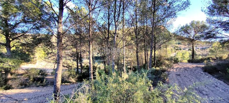 Foto 9ff8c905-97db-4ca9-b87d-00fb15aca98c. Terrain résidentiel dans Relleu