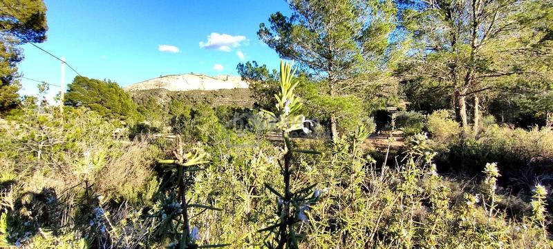 Foto ad8932f7-af3a-46db-9040-89ed56e413a7. Terrain résidentiel dans Relleu