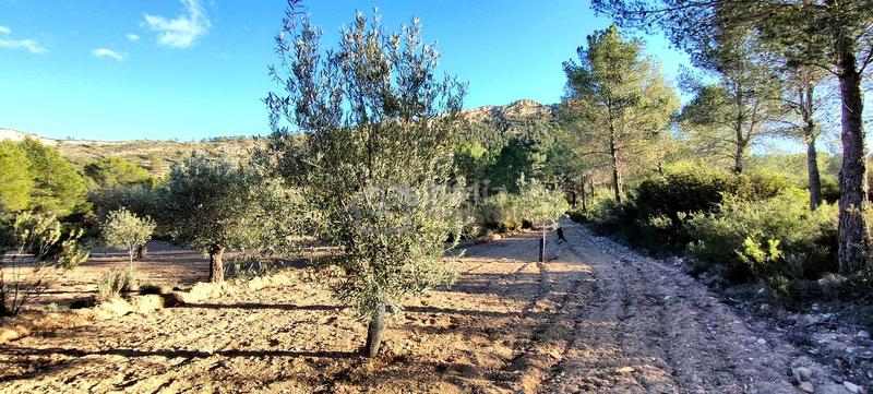 Foto c1800998-7423-415c-bbeb-a61127a2a6f6. Terrain résidentiel dans Relleu