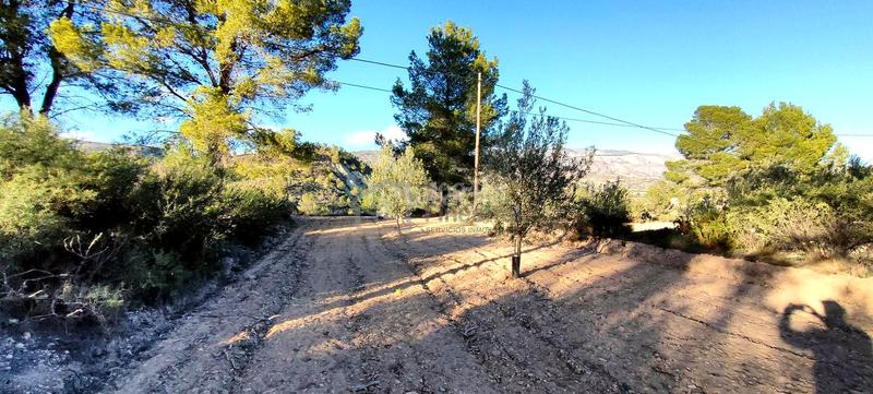 Foto ce680469-16e9-4ff0-81b3-8d79165c4d91. Terrain résidentiel dans Relleu