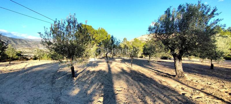 Foto d6017e63-503e-49e4-b90e-6b8bf0f209d1. Terrain résidentiel dans Relleu