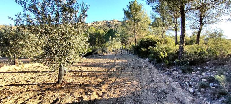 Foto e1949ce6-148f-42cb-9be9-05a8c07a27c5. Terrain résidentiel dans Relleu