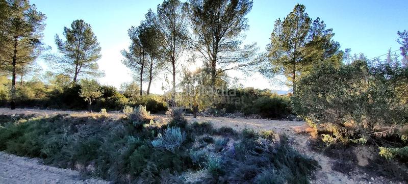 Foto eb36aa34-8c94-4638-8080-bd3926945cae. Terrain résidentiel dans Relleu