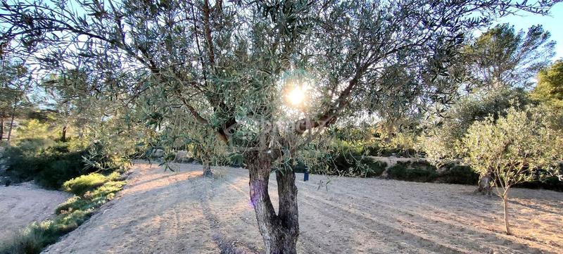 Foto f0a719df-e7ef-4170-b7e1-b5abc9559ab4. Terrain résidentiel dans Relleu