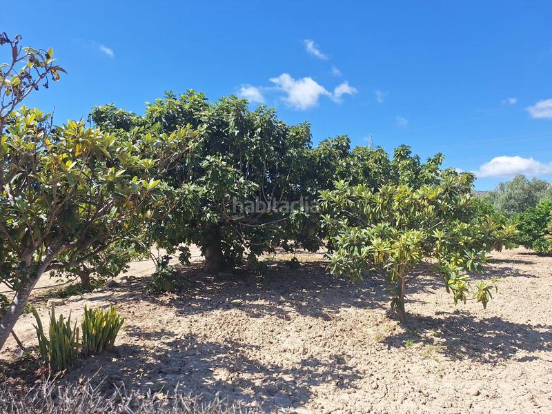Foto c987cce6-f5d9-4d89-becf-eecd2a09ee61. Casa con piscina in El Secanet-Hacienda del Sol Vila Joiosa (la)