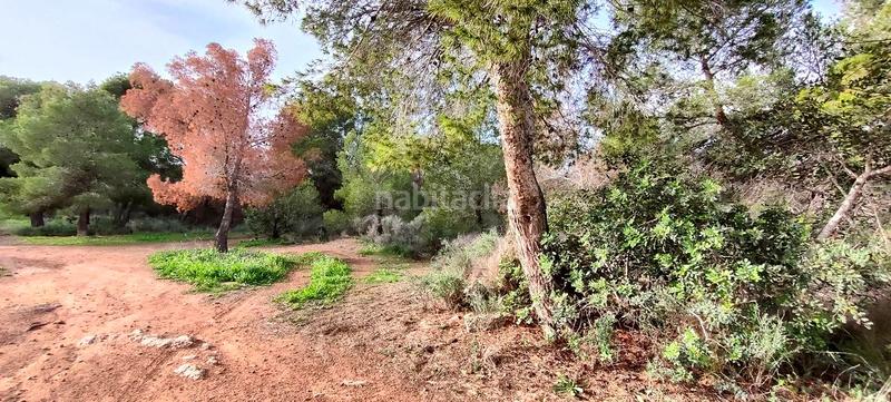 Foto cf21bb44-374b-420b-9073-75ea51e6b588. Terrain résidentiel dans Golf Bahía Finestrat