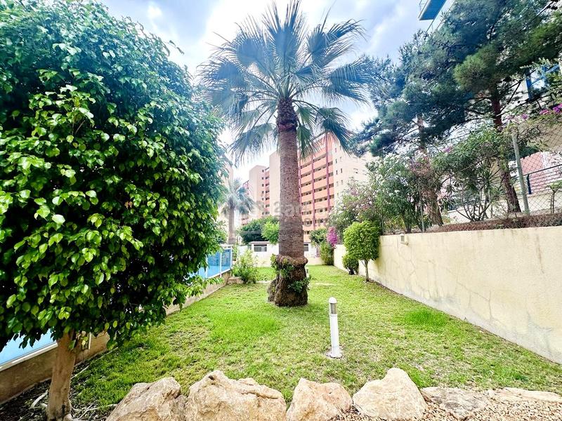 Foto d085447f-f212-42b1-ad5a-295911a90057. Apartament amb piscina a Mirador de la Cala-Benimar Vila Joiosa (la)