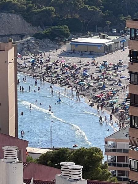 Foto 7fcadc43-a071-4c42-ab0c-a771d63e6efa. Estudio precioso estudio poniente en Playa Poniente Benidorm