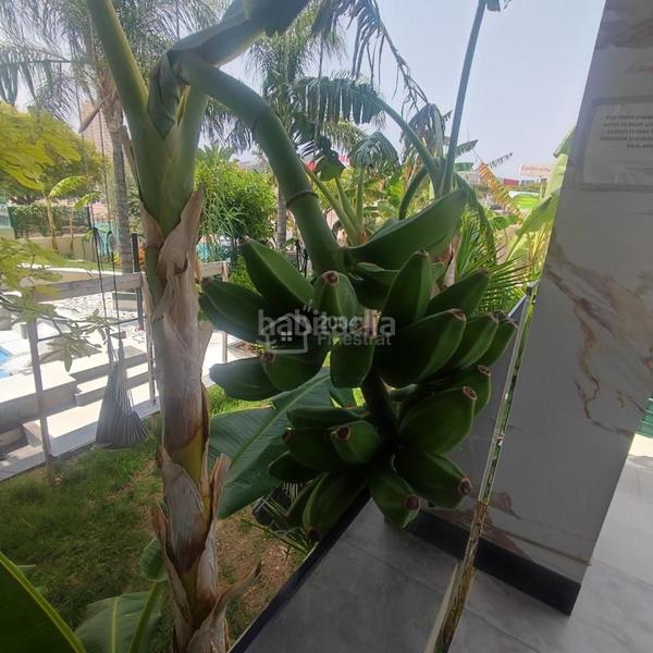 Foto b5ab375f-caf7-488e-831c-0ab936345d3a. Appartamento in cala Finestrat Finestrat