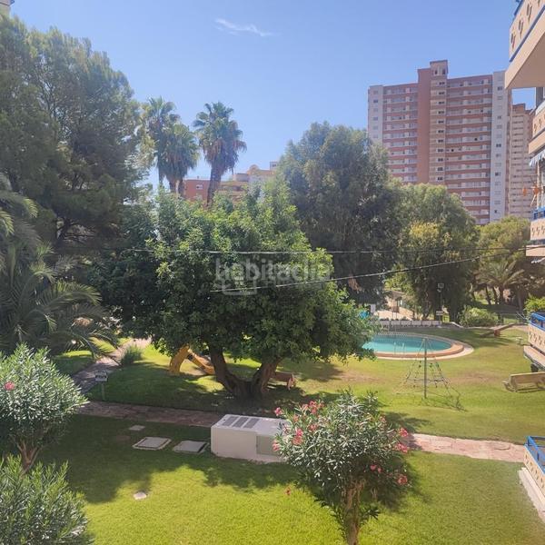 Foto 01d4a056-a891-498c-a796-fc07b6992ed4. Piccolo appartamento con piscina in Playa Poniente Benidorm