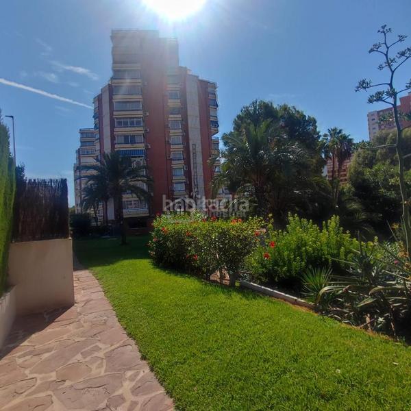 Foto 107bab4c-0e70-4972-9f5e-3ce4d6a98bc2. Piccolo appartamento con piscina in Playa Poniente Benidorm