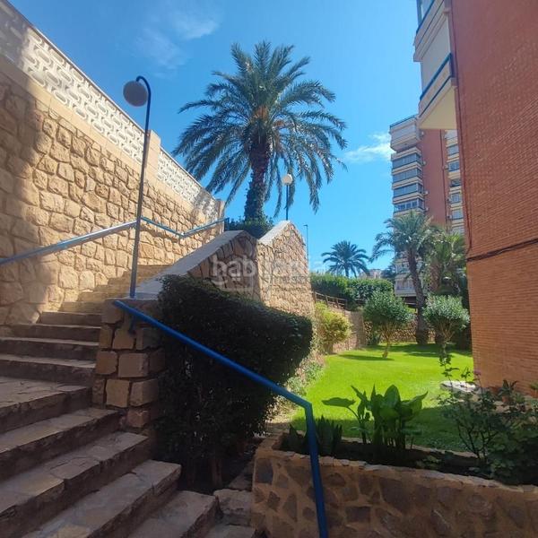 Foto 3ac1e8d1-fe6e-4e9f-a0e1-066023aeabf6. Piccolo appartamento con piscina in Playa Poniente Benidorm