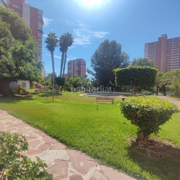 Foto 8a3ac270-7b47-4dae-97c8-44c3065c594a. Piccolo appartamento con piscina in Playa Poniente Benidorm