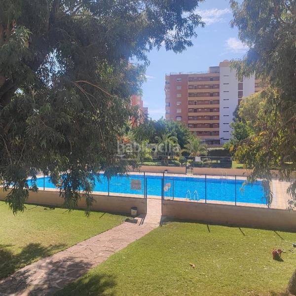 Foto 920b3e0d-50b7-4c0c-a5f7-945e7b17c67b. Piccolo appartamento con piscina in Playa Poniente Benidorm