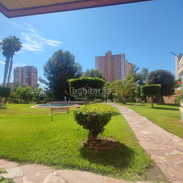 Foto 966adcb0-5d23-4958-9f22-98631b698a46. Piccolo appartamento con piscina in Playa Poniente Benidorm