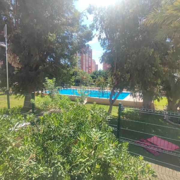 Foto 9a250087-69bf-44b2-8e2c-5a7422fd73da. Piccolo appartamento con piscina in Playa Poniente Benidorm