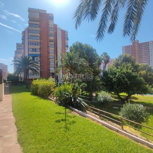 Foto bb5079c1-0c48-4513-bb9c-e093f356df28. Piccolo appartamento con piscina in Playa Poniente Benidorm