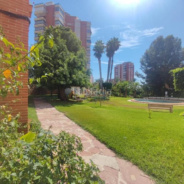 Foto e0aedad3-cba5-4488-98ee-917f6324e582. Piccolo appartamento con piscina in Playa Poniente Benidorm