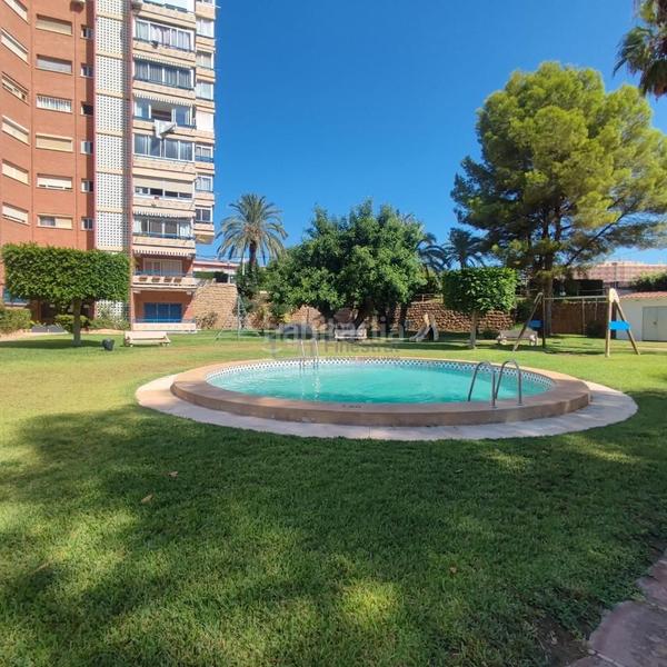Foto e98da3ad-0d2f-4c3a-aca7-4738cbbf820d. Piccolo appartamento con piscina in Playa Poniente Benidorm