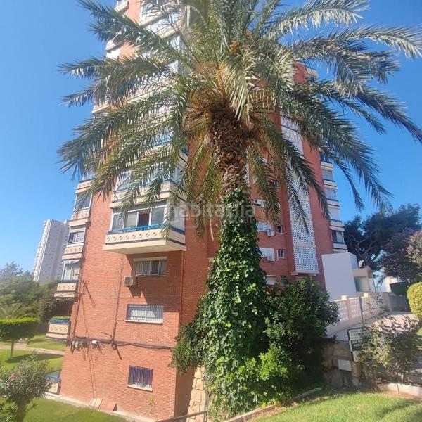 Foto ec466c90-3daf-4f28-90d7-89d36a06f519. Piccolo appartamento con piscina in Playa Poniente Benidorm