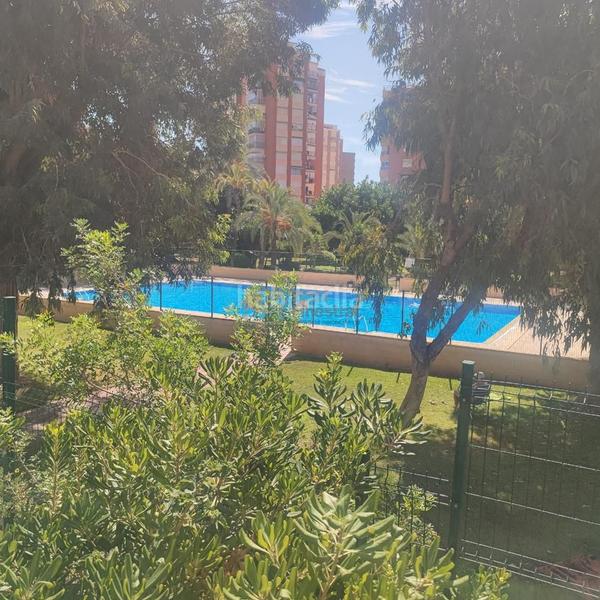 Foto f324a8cd-3746-4d4e-820f-b6d854dc43db. Piccolo appartamento con piscina in Playa Poniente Benidorm