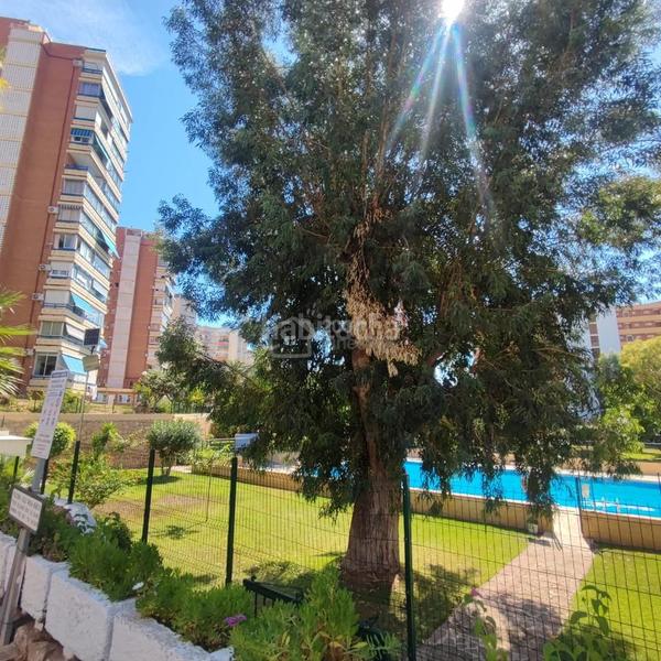Foto fc276017-8676-4180-83bf-bc72d90a5f6a. Piccolo appartamento con piscina in Playa Poniente Benidorm