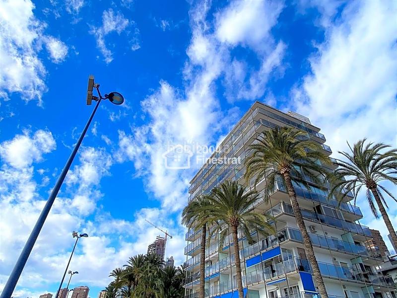 Foto 50ada184-5050-4b6b-8955-b5eb04bd1676. Alquiler apartamento primera linea en la playa de poniente en Benidorm