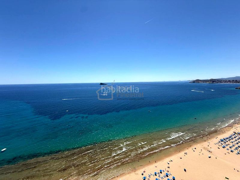 Foto 400320c9-ea0f-43a5-8a7b-59c19100ab66. Pis a Playa Levante Benidorm