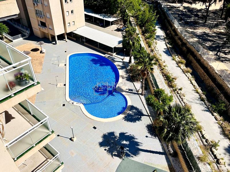 Foto 94d6be79-055a-4142-b1f9-c1d19ed2098a. Pis amb aparcament piscina a Colonia Madrid Benidorm