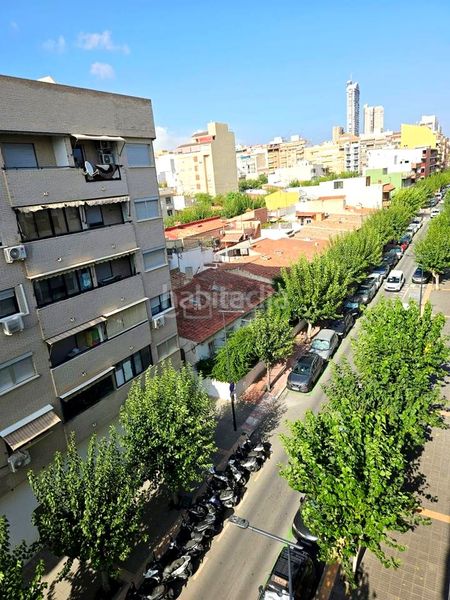 Foto 24a022ca-bab5-4413-a30c-259d457a1539. Pis a Colonia Madrid Benidorm