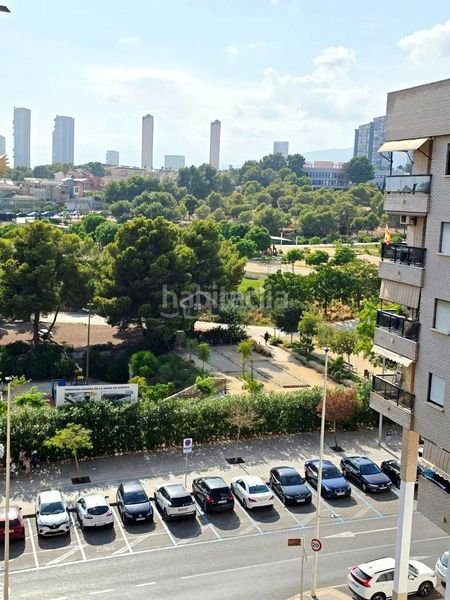 Foto 59ad1b86-8bd3-4183-9a9a-d93a49e2822e. Pis a Colonia Madrid Benidorm