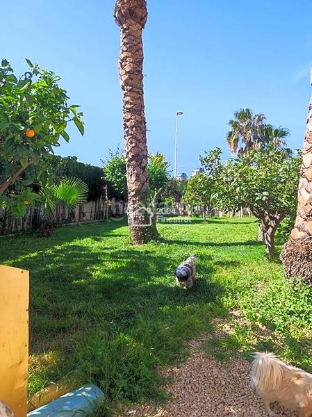 Foto b9b66af3-22c6-4640-821b-db117ac17562. House with parking pool in Foietes Benidorm