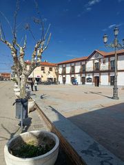 Chalet  Calle sevilla. ?? oportunidad de inversión – chalet alquilado (no visitable)