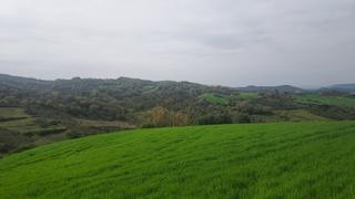 Rural plot in Calle mayor 1. Terreno en salinas de oro